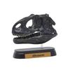 Dinosaur Allosaurus Skull Mini Model (FDW-505)
