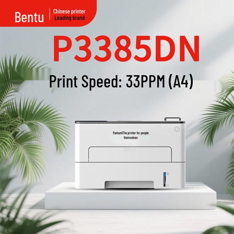Pantum P3385DN A4 Monochrome Duplex Laser Printer CN plug (adapter included)