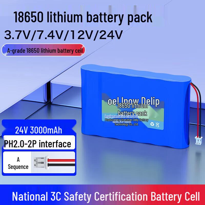 Delipow 18650 Rechargeable Lithium Battery Pack CN plug (adapter included)