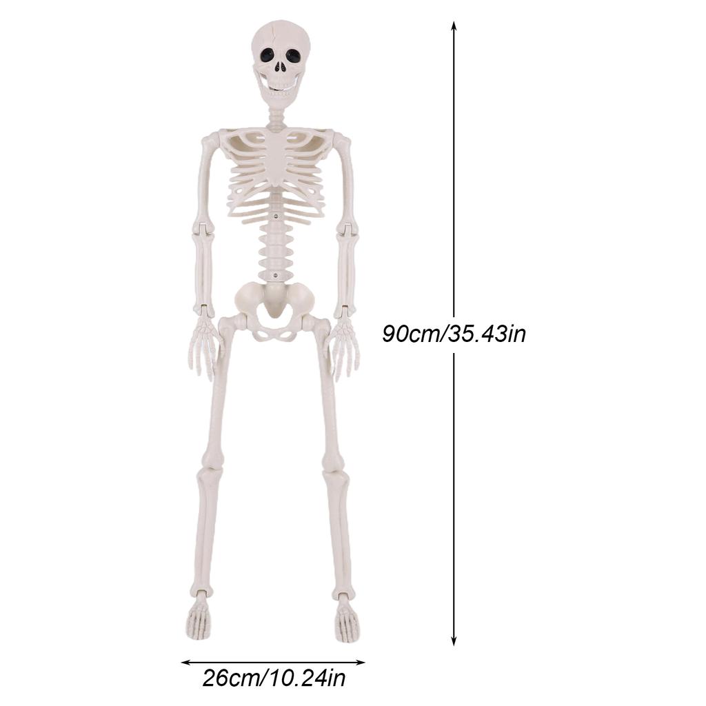Halloween Realistic Body Bones Life Size Human Skeleton With Posable Joints Simulation Skull Ornament Haunted House Horror Props