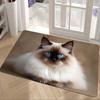 1 Stück Anti-Ermüdungs-Küchenteppiche, Ragdoll-Katzen-Druck, Wasserdicht, Rutschfest, Dick gepolsterte Matte, Komfort-Stehmatte