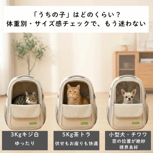 MOFU+ Pet Backpack for Dogs, Cats, Small Dogs, Medium Cats, Carry, Train, Pet Carrier Bag, Lightweight, Multi-functional Pocket, Foldable, Load