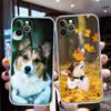 QT14 Cute Corgi dog New High-End Phone Case for Samsung Galaxy A04 A04S A05 A05S A14 A23 A34 A54 M23 M52 M53 A55 A35