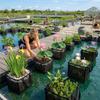 with Handles Aquatic Plant Baskets Breathable Lotus Planter Pond Planting Bags  Aquarium Use