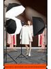 2200WS Super Bright Spherical Fill Light for Live Beauty, Photography, and Indoor Clothing Shoots