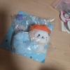 NCT Wish You Moocy Bubble Cat Scrunchie Simple Unboxing