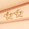 Exquisite High-End Metal Hoop and Stud Earrings with Niche Design