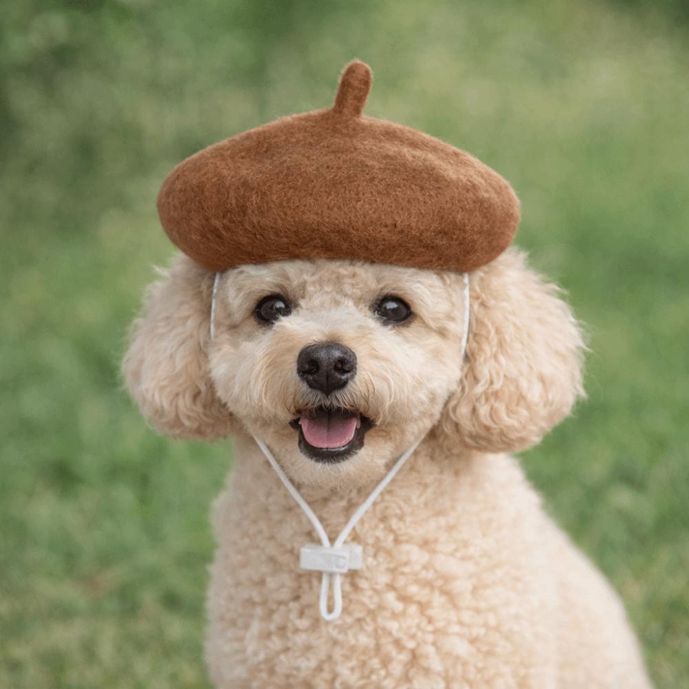 Breathable Pet Headwear Adorable Cute Pet Painter Hat Casual Style Cat Beret Hat  Photos Sessions