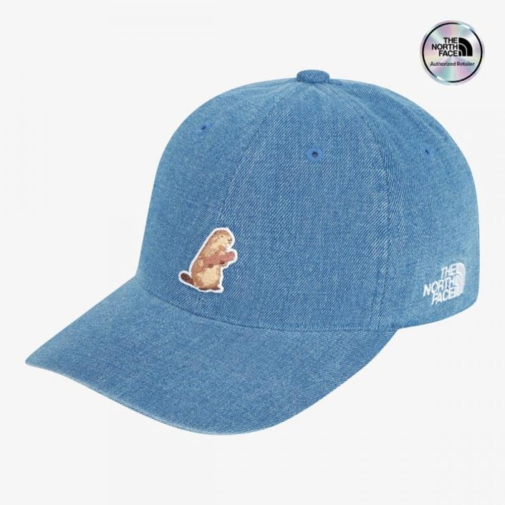 The North Face White Label Logo Ball Cap Wappen Blue Ne3cs06k BLUE/ONE