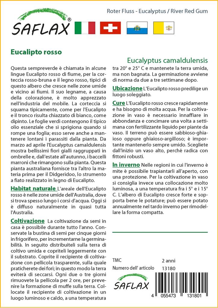 SAFLAX River Red Gum - 200 Seeds - Eucalyptus Camaldulensis