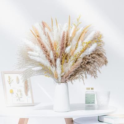 Small Reed Dried Flower Bouquet Small Whisk Pampas Reed Dried Flower Rabbit Tail