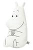 DADWAY MOOMIN BABY Moomin Baby Arm APMB015097400 Pillow, Bloom/Mint,