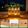 Versatile Propagation Vase 3 Lighting Modes Plant Propagation Station with Wood Stand Hydroponic Plant Glass Container for Home