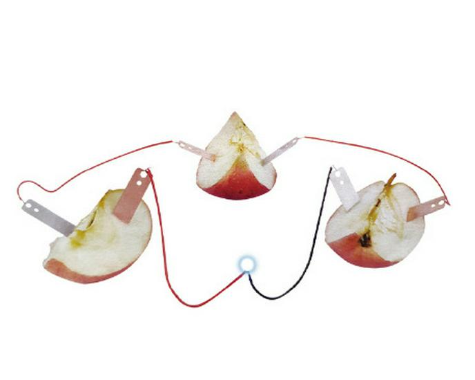 Elementary DIY Science Kit: Hands-On Inventions for Students