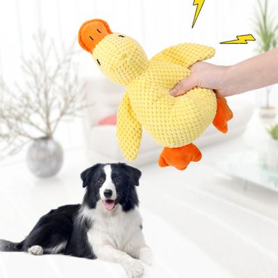 Köpek – Köpek oyuncakları