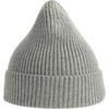 Atlantis Unisex-Erwachsene Andy Beanie aus recyceltem Polyester