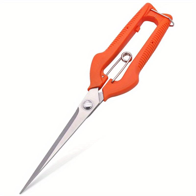

Ножницы для винограда Секатор Садовый инструмент Овощной огород Бонсай Профессиональная столярная работа Нержавеющая сталь Сбор фруктов С замком красный