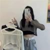 Long Sleeved Hollow Knit Sunscreen Blouse Slim Thin Pullover Women's Crop Top Simple Casual Commuting Spring Summer