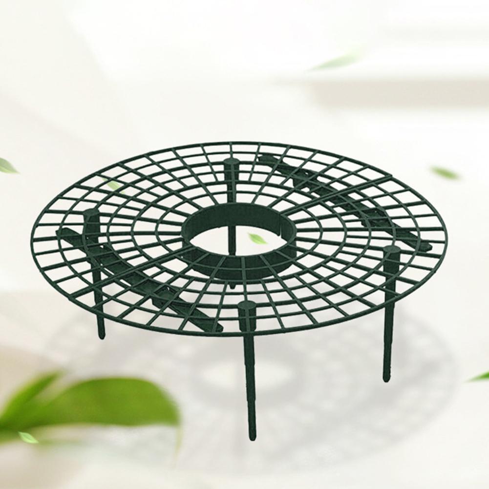 Erdbeerstützen mit 4 stabilen Beinen halten Pflanzenobstständer halten Beeren sauber Gartenständer zum Schutz von Erdbeeren