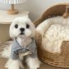 Gestreiftes Haustierhemd & Fliege für kleine Hunde - Frühling/Sommer