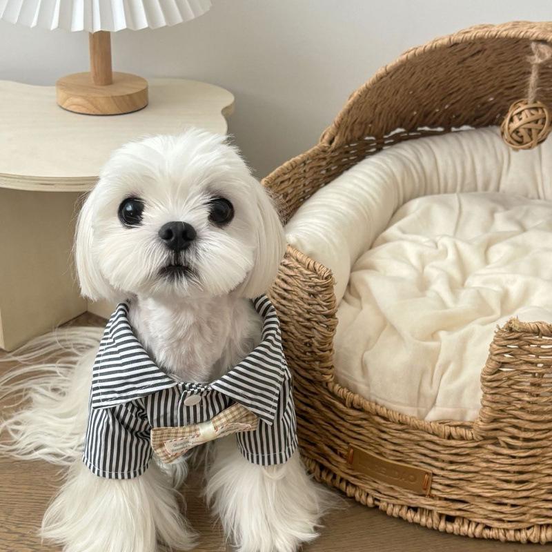 Gestreiftes Haustierhemd & Fliege für kleine Hunde - Frühling/Sommer