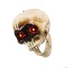 Animated Talking Skull with Flashing Eye and Moving Jaw Halloween Skeleton Head Decoration Terrifying Party Accessory