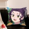 Anime H-Healing The Apothecary Diaries Pillowcase Living Room Sofa Cushion Cover Bedroom Room Bed Pillow Cover Home Decoration