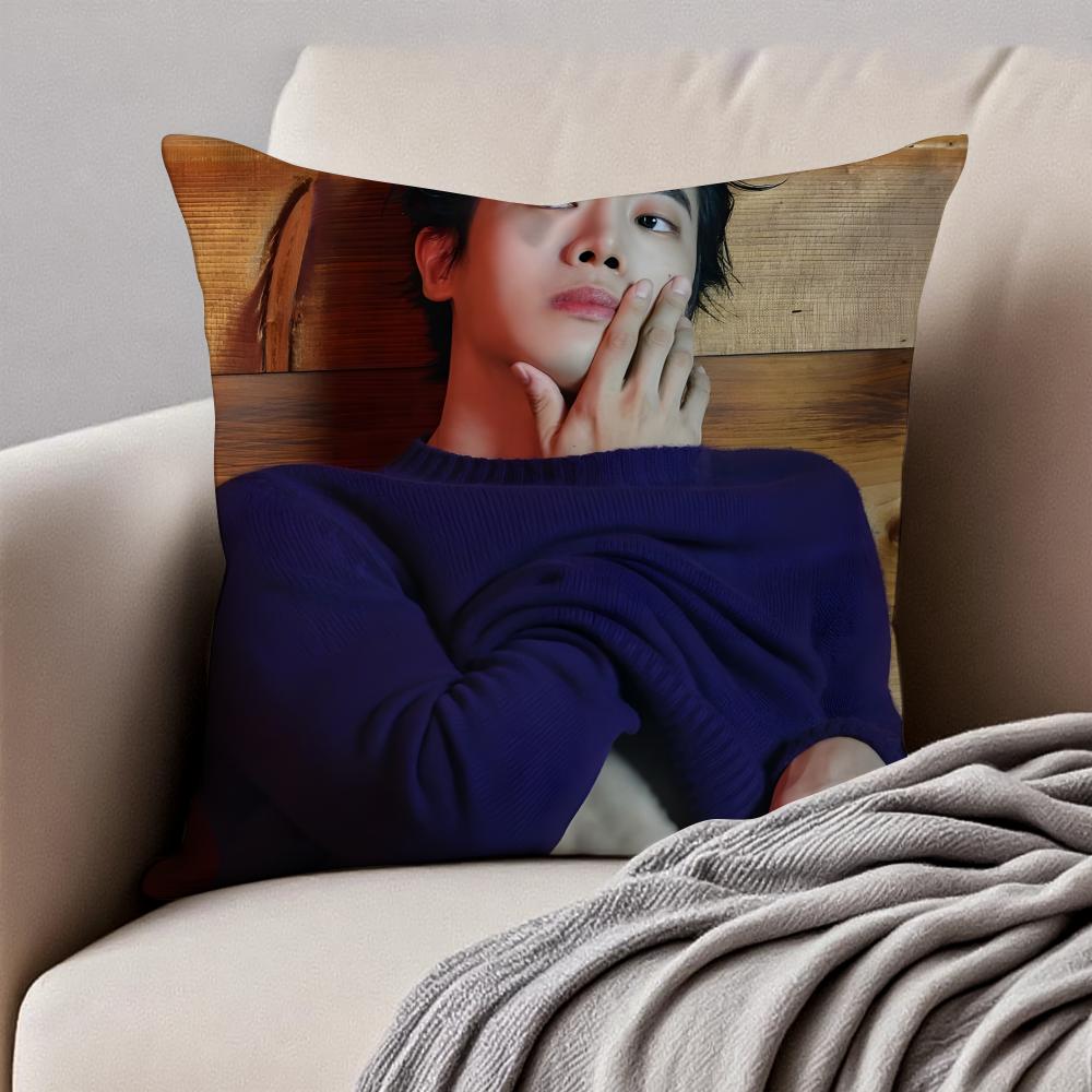POP Korea CChoo YoungWoo Cushion Cover Pillowcase Antidustmite Invisible Zipper Short Plush Sofa Cushion
