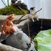 Funny Fishing Kitten for Aquarium Glass WallDecoration Landscaping Cute Kitten FishTank Cartoon Decors Statue Resin