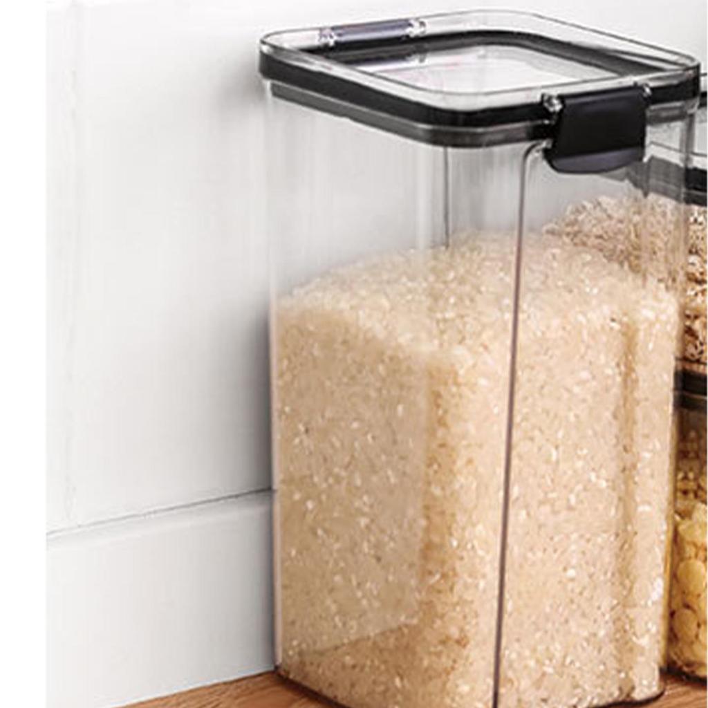 Food Storage Container Lunch Case Portable Sled Preservation Box Transparent for Students