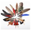 Premium-Hat Natural Feathers 12PCS Colorful Real Feathers