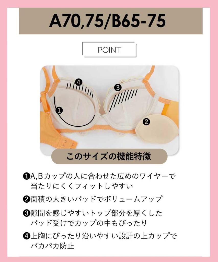 Amphi Personalized High Back Fits Plus C75 Bra, Design, Sides, Smoothing, A-G Cups, Sizes, [stylist 4U] Bra, BOG306, Women's, White,