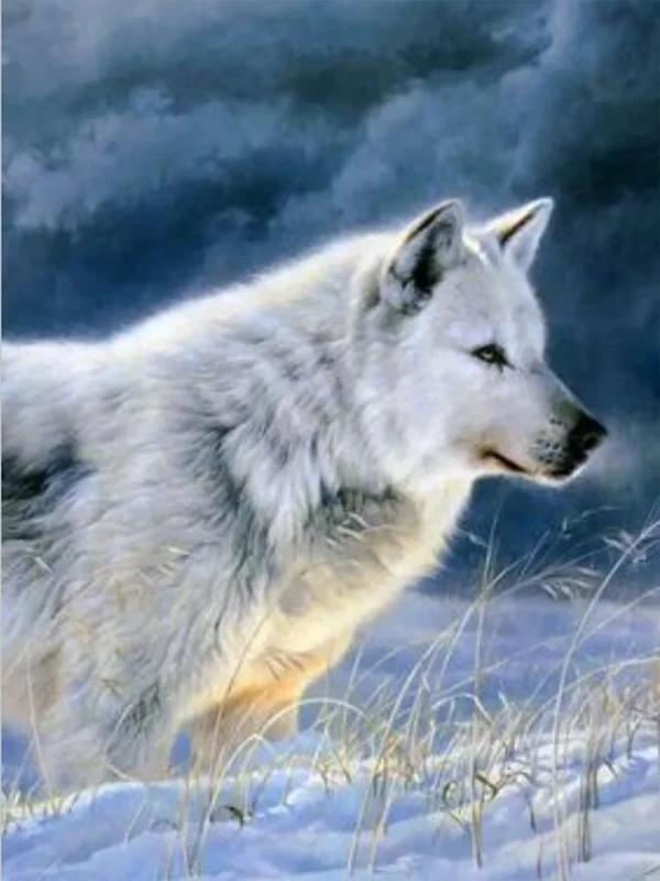5D Wolf Diamond Painting Art New Collection Moon Mountain Mosaic Art Rhinestone Embroidery Animals Decor