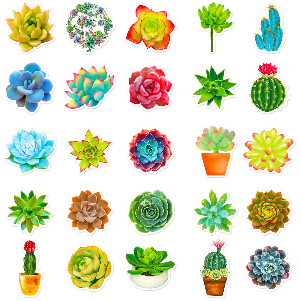 50 Pieces of Succulent Cactus Potted Fresh Stickers DIY Suitcase Notebook Water Cup Stickers