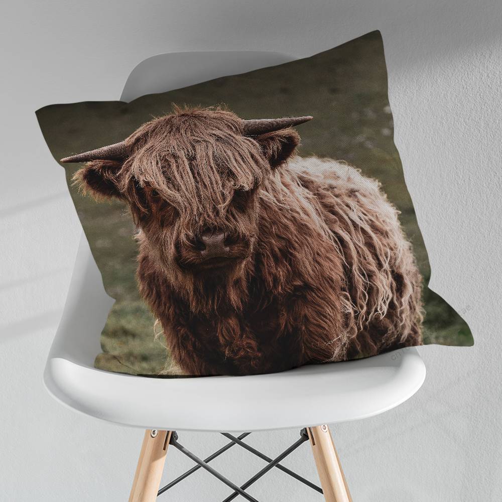 Cute Small Highland Cow Various Sizes Square Pillow Case For Car Home Bedchamber Decor Birthday Gift