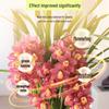 General-Purpose Hydroponic Nutrient Solution for Indoor Flowers and Green Plants