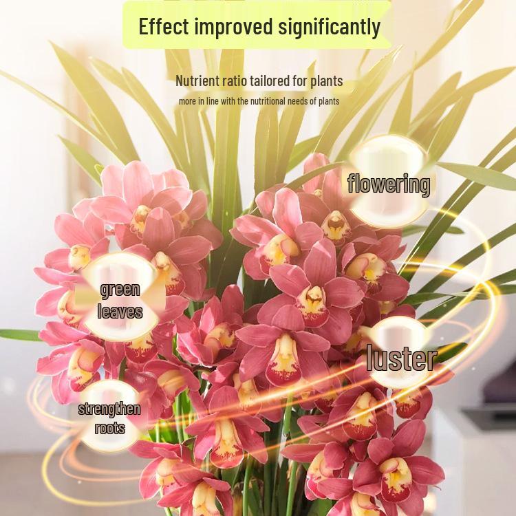 General-Purpose Hydroponic Nutrient Solution for Indoor Flowers and Green Plants