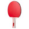 Lisheng Beginner Table Tennis Racket Set