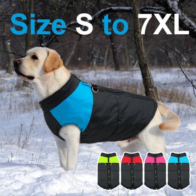 large dog jackets for winter