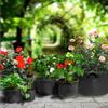 Kartoffel Anzuchtsäcke Vlies Kartoffel Pflanzgefäß Gemüse Pflanzsäcke für Zuhause Balkon Garten Karotten Tomaten Gemüse