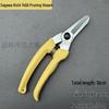 Taiwan Pruning & Bonsai Scissors - 140A Straight Blade Gardening Shears for Fruit Trees & Seedlings