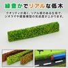 UB-Lab. Set of 6 Sponge Grass Materials for Diorama Models, Miniature Trees, Hedges, Plants, Trees, Miniature Garden Scenery, Modeling, Yellow-Green
