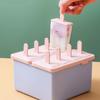 Reusable Ice Cream Popsicle Mold Creative Design Popsicle Mold Cube Tray Homemade Ice Box  Summer