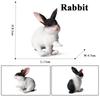 Oenux Lovely Farm Rabbit Bunny Model Action Figure Figurine Wild Desert Cottontail Hare Cute PVC Decoration Education Kid Toy