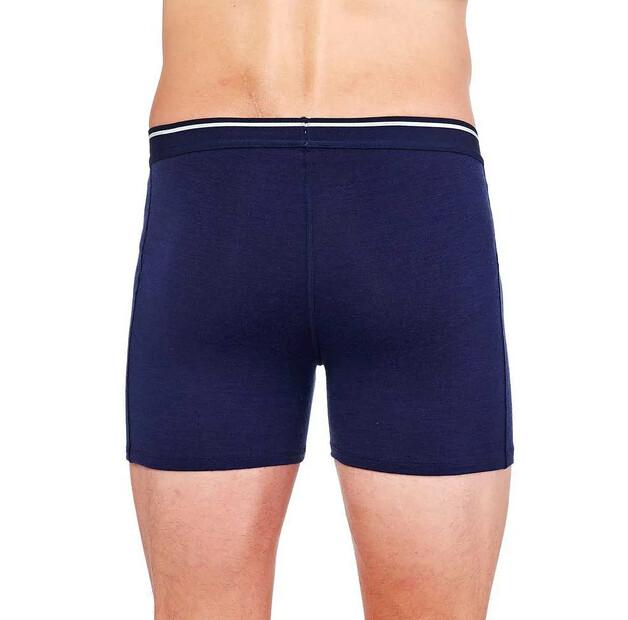 Icebreaker трусы-боксёры Anatomica s Fly