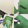 Turner Color Acrylic Paint Milk Paint for Wall (Indoor Wall) Snowdrop MW002501 2l