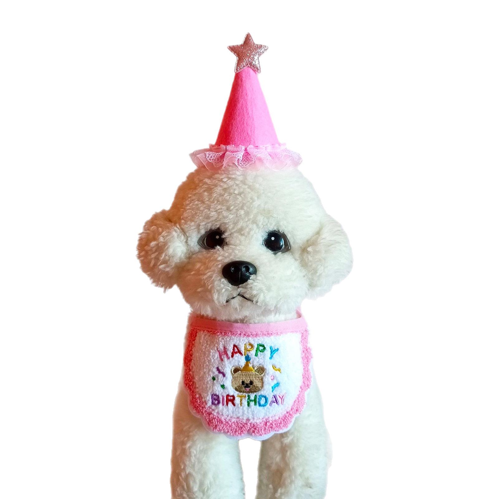 Pet Birthday Party Bandana & Hat Set for Dogs & Cats