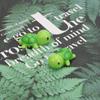 10 Pcs Mini Schildkröte Figuren Puppenhaus Bonsai Garten Micro Landschaft