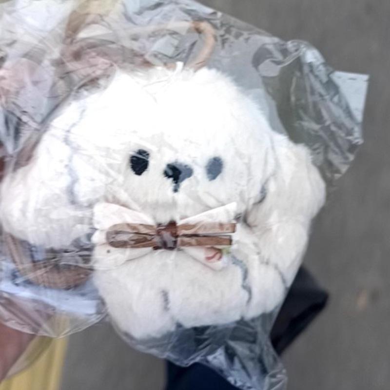 5pcs Harajuku Women Sweet Cute Lovely Dogs Backpack Keychain Cartoon Plush Doll Puppy Pendant Keyring Bag Decoration Girls Gift