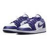 Air Jordan 1 Low GS Sky J Purple Kids Sneakers Sky-J-Light-Purple White 553560-515